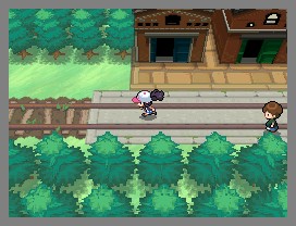 Pokémon Noir et Blanc : encore des images