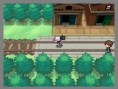 Pokémon Noir et Blanc : un peu de gameplay en vidéo