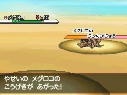 Pokémon Noir et Blanc : nouvelles images