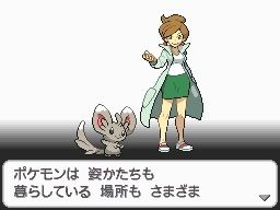 Pokémon Noir et Blanc : nouvelles images