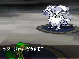 Pokémon Black & White: new images