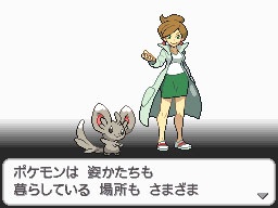 Pokémon Black & White: new images