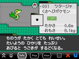 Pokémon Black & White: new images