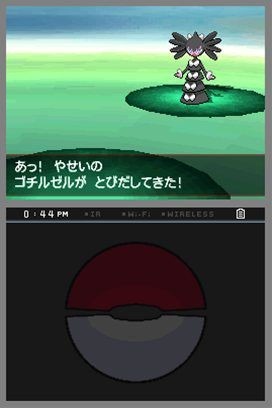 Pokémon Noir et Blanc : le plein d'images et artworks