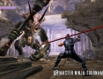 Ninja Gaiden 1.1 en images
