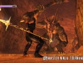 Ninja Gaiden 1.1 en images