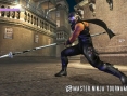 Ninja Gaiden 1.1 en images