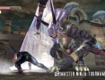 Ninja Gaiden 1.1 en images