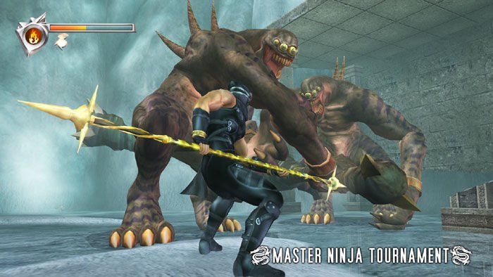 Ninja Gaiden 1.1 en images