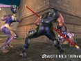 Ninja Gaiden 1.1 en images