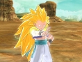 Dragon Ball Raging Blast 2 : Fusion et OAV