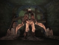 Images Fable III (PC)