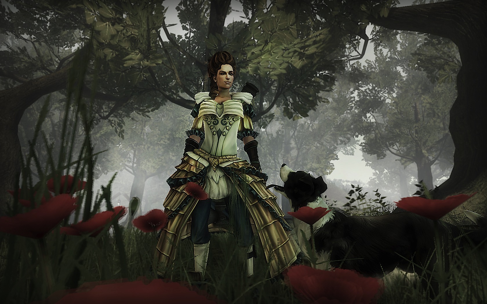 Screens Fable III (PC)