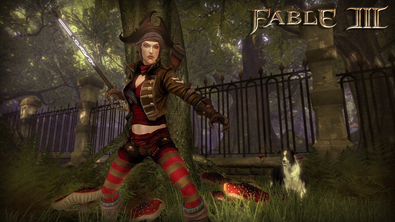 Images Fable III (PC)