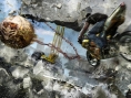 MotorStorm Apocalypse: new images and artworks