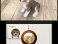 Nintendogs + Cats se niche sur 3DS