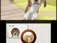 Nintendogs + Cats se niche sur 3DS