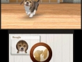 Nintendogs + Cats se niche sur 3DS