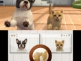 MX TV Show : vidéo Nintendogs+Cats