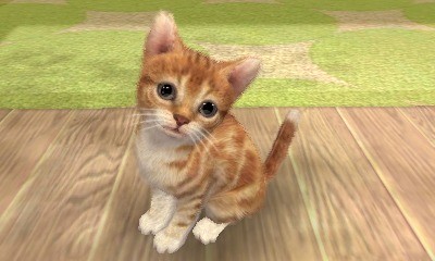 MX TV Show : vidéo Nintendogs+Cats