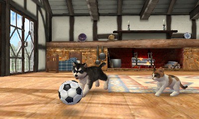 MX TV Show : vidéo Nintendogs+Cats