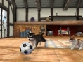 MX TV Show : vidéo Nintendogs+Cats
