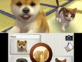 Vidéo Nintendogs + Cats