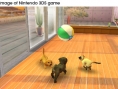 Vidéo Nintendogs + Cats