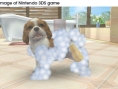 Vidéo Nintendogs + Cats