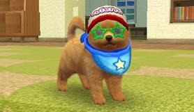 Screens Nintendogs + Cats