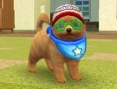 Screens Nintendogs + Cats