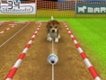 Screens Nintendogs + Cats