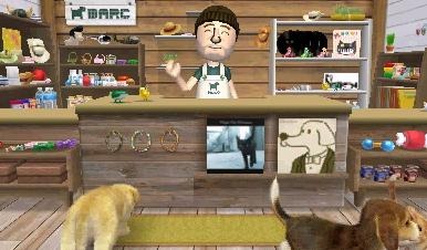 Screens Nintendogs + Cats