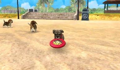 Screens Nintendogs + Cats