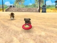 Screens Nintendogs + Cats