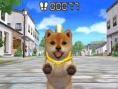 Screens Nintendogs + Cats