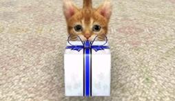 Screens Nintendogs + Cats