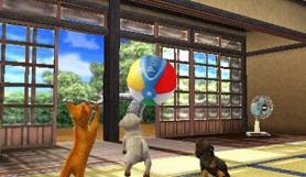 Screens Nintendogs + Cats