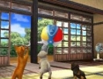 Screens Nintendogs + Cats