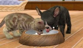 Screens Nintendogs + Cats
