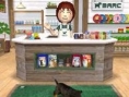 Screens Nintendogs + Cats