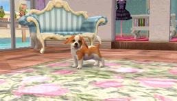 Screens Nintendogs + Cats