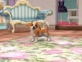 Screens Nintendogs + Cats