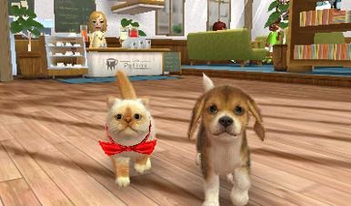 Screens Nintendogs + Cats