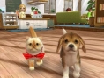 Screens Nintendogs + Cats