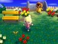 Screens Animal Crossing 3D