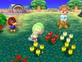 Screens Animal Crossing 3D
