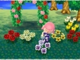 Screens-Video Animal Crossing 3D