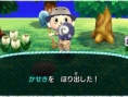Screens-Video Animal Crossing 3D