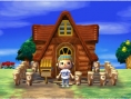 Screens-Video Animal Crossing 3D